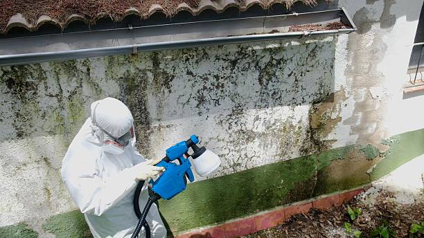 Top rated local Crawl Space Mold Remediation specialists in Buford, GA